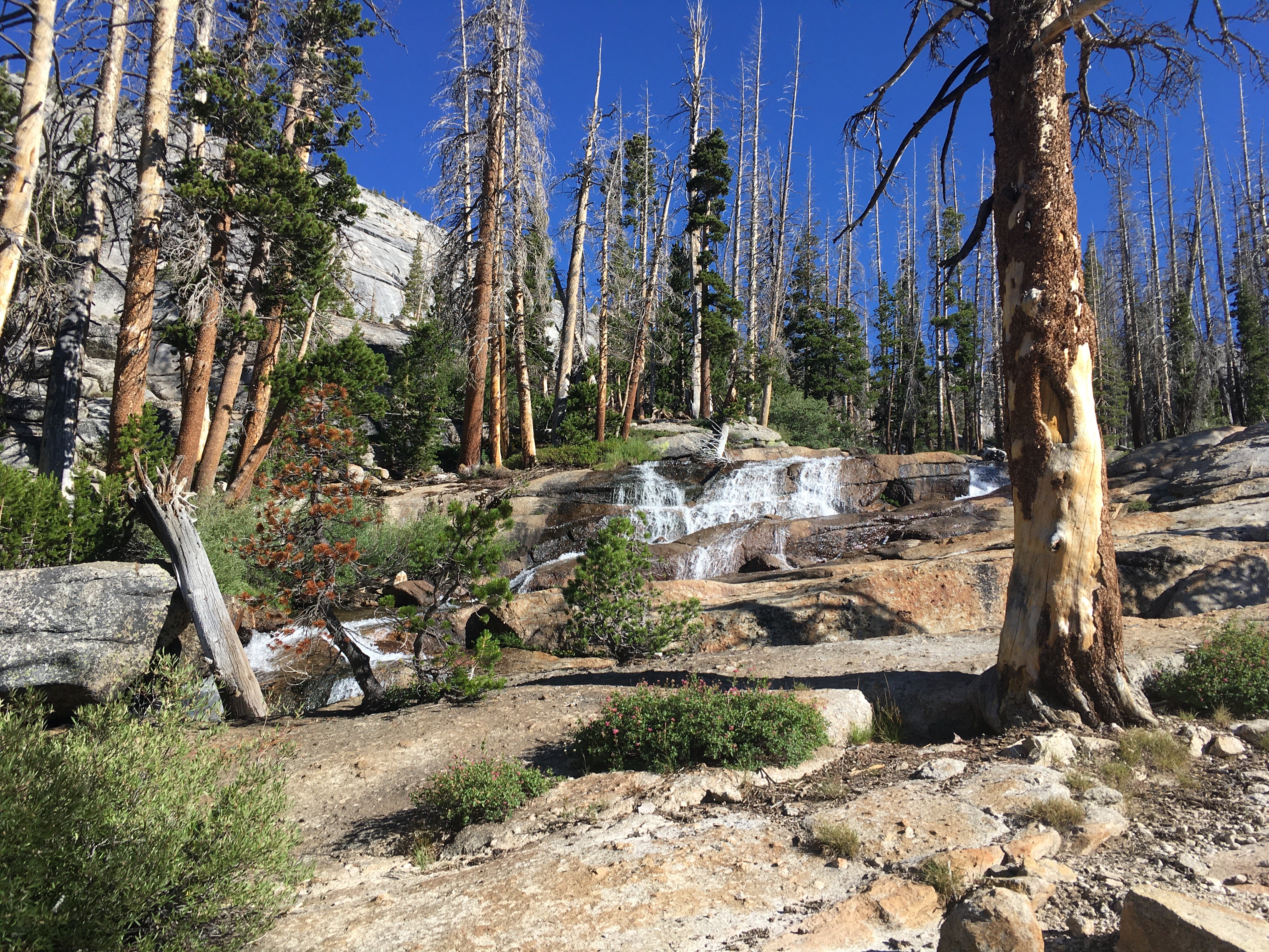 Best Lightweight Backpacking Gear for Yosemite National Park - Vogelsang High Sierra Camp Essentials | Hiking & Camping Equipment