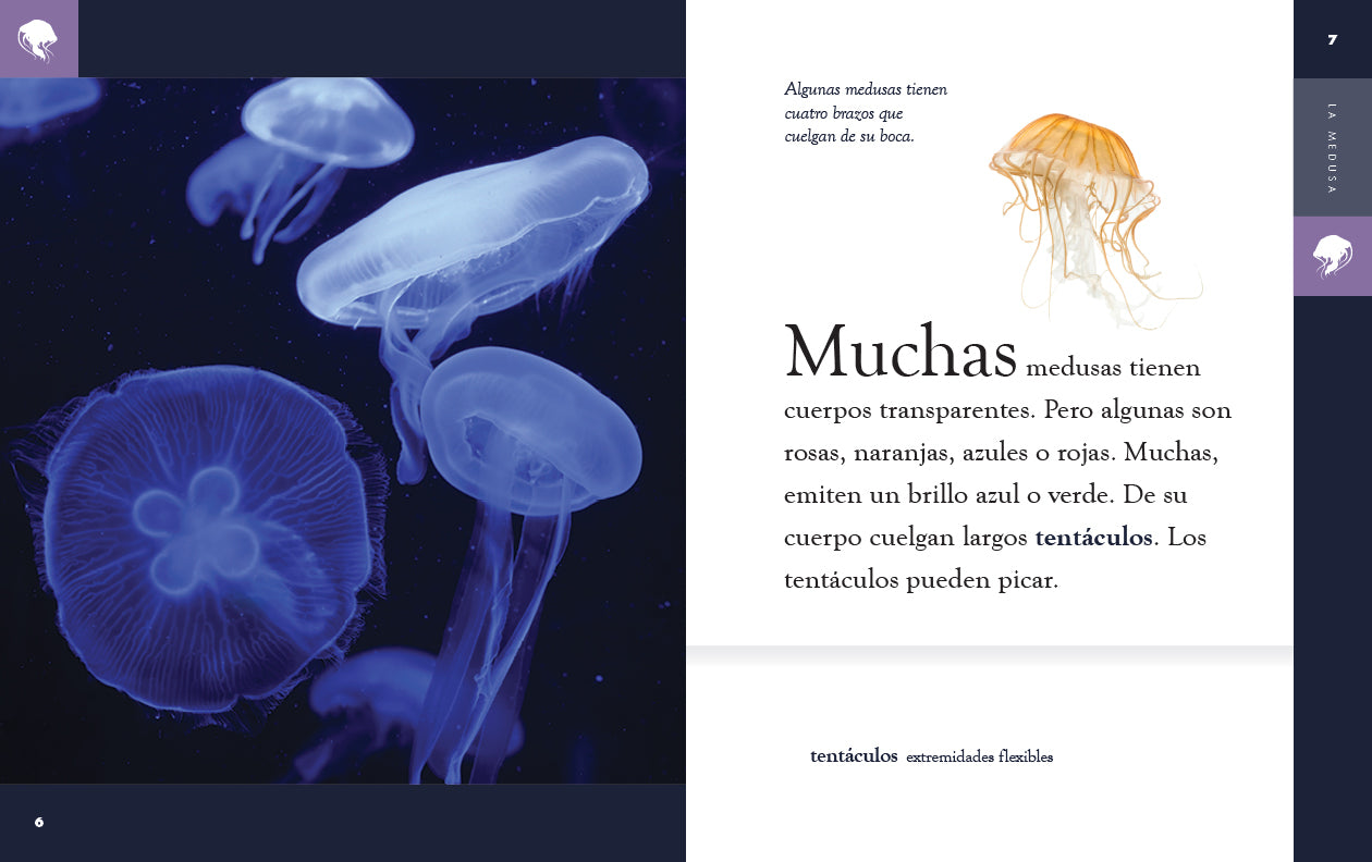 La Medusa Book 9781640266933 - Italian Language Novel for Adults, Perfect for Reading at Home or Travel