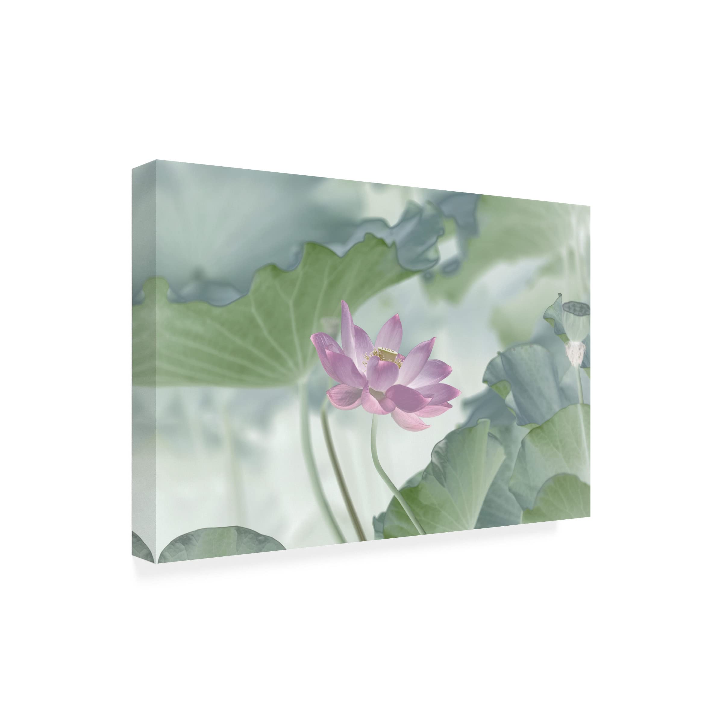 Trademark Fine Art 'Lotus' Canvas Wall Art by Binbin Lu - Elegant Floral Painting for Living Room, Bedroom & Office Decor