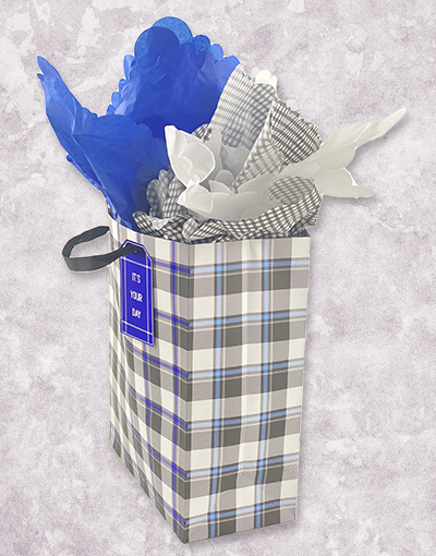 Edgewater Plaid (Garden) Gift Bags - Premium Wrapping Bags for Birthday, Wedding & Holiday Presents - Elegant Party Favor Packaging
