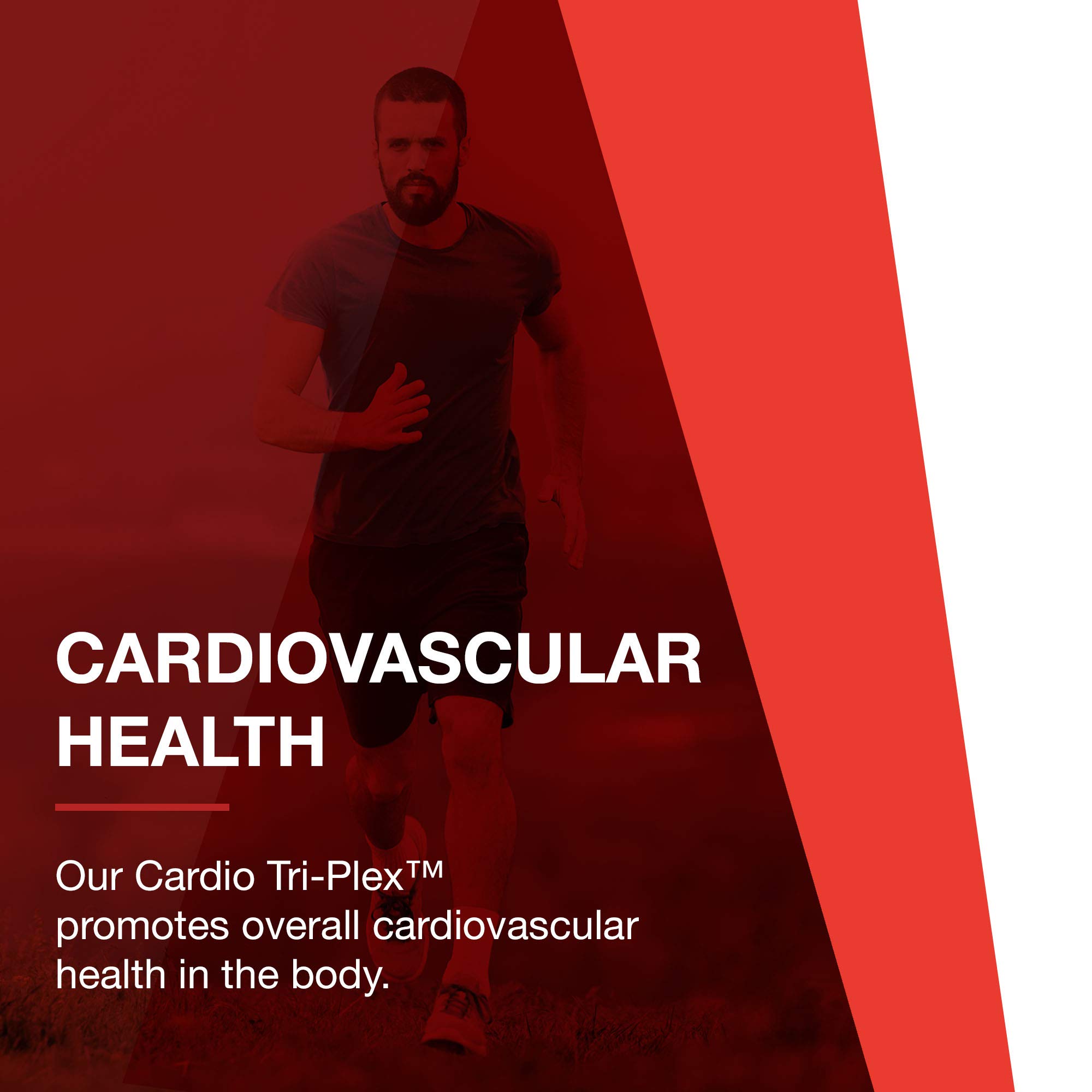 PROTOCOL FOR LIFE BALANCE Cardio Tri-Plex - Heart Health Supplement with Red Yeast Rice, CoQ10 & Omega-3 Fish Oil - Supports Cardiovascular Function & Cholesterol Management - Ideal for Active Adults & Seniors