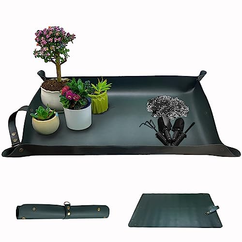 Dark Green Leather