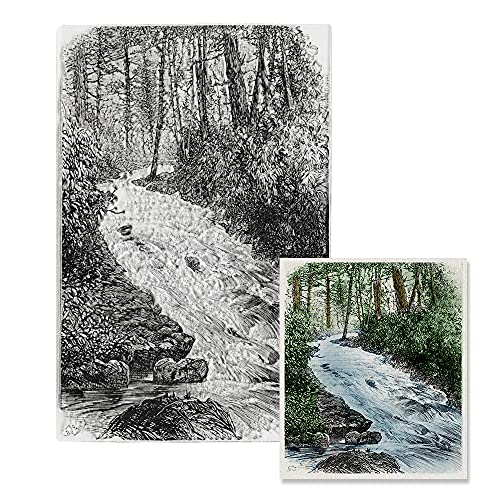Forest Brook