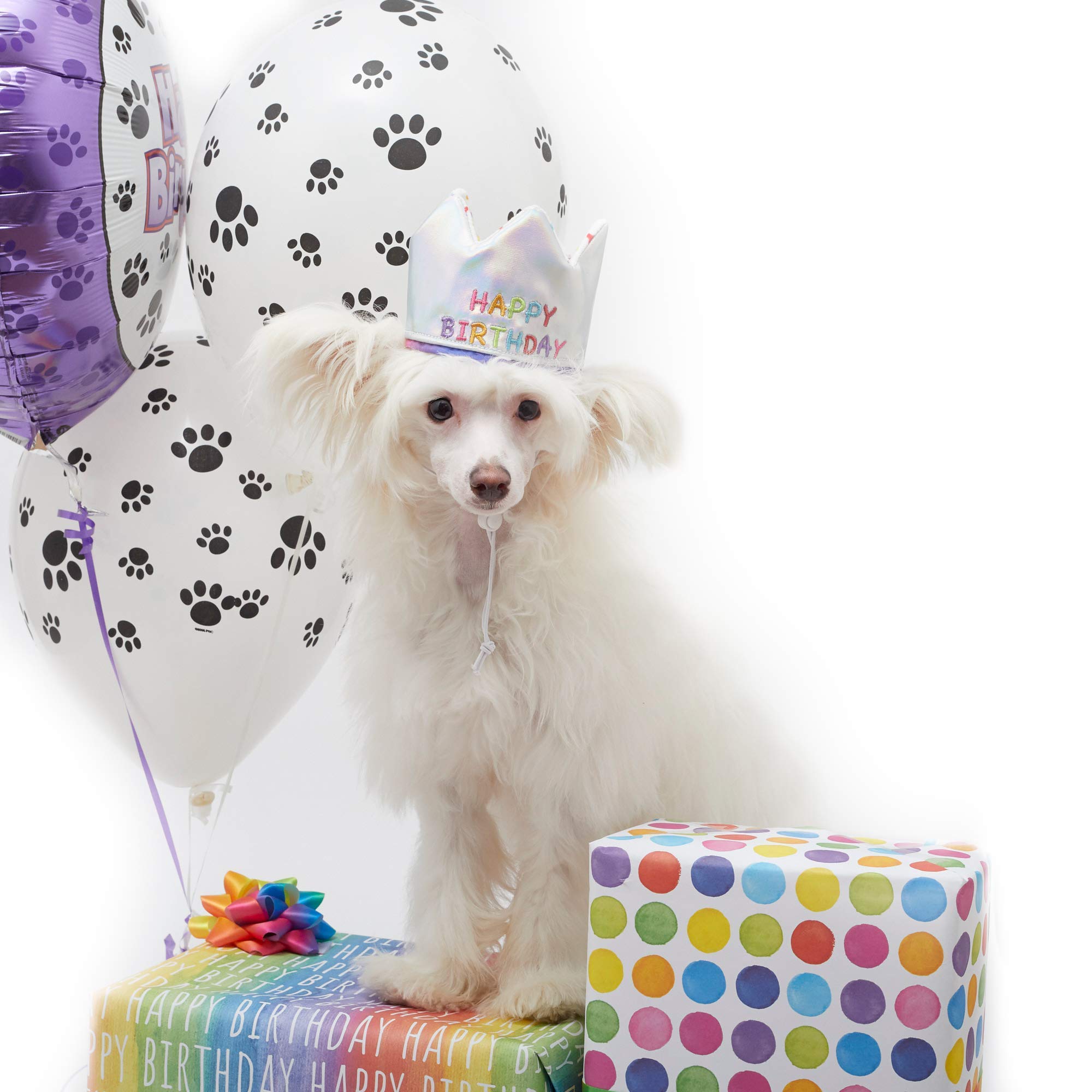 Happy Birthday Crown Hat for Dogs & Cats - Glitter Age Numbers Included (20pcs) - Reversible & Reusable Pet Party Hat - Embroidered 