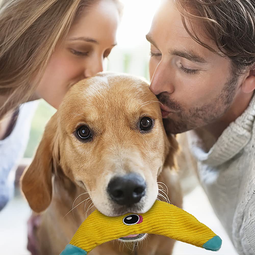 **Durable Crinkle Dog Toys for Aggressive Chewers - 8 Pack No-Stuffing Chew Toys for Small, Medium & Large Dogs - Tough, Interactive Teething Toys for Puppies & Large Breeds - Perfect for Indoor Play & Training**