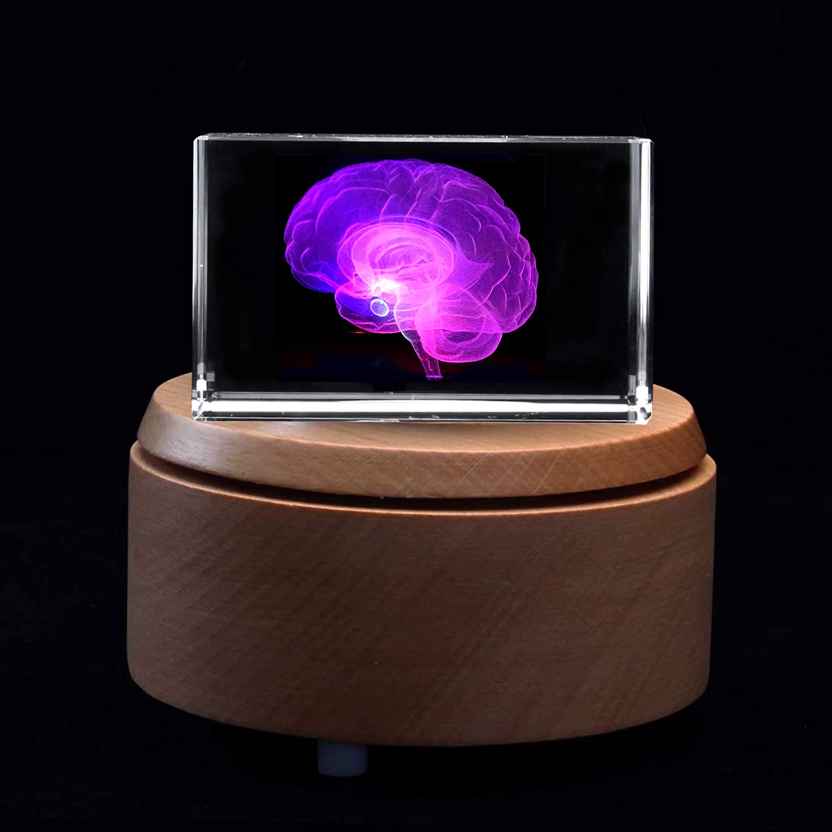 3D Human Brain Anatomical Model - Laser Etched Crystal Glass Cube Paperweight with LED Base | Science Gift for Doctors, Students & Anatomy Enthusiasts | Perfect for Office Desk, Medical Display & Educational Use