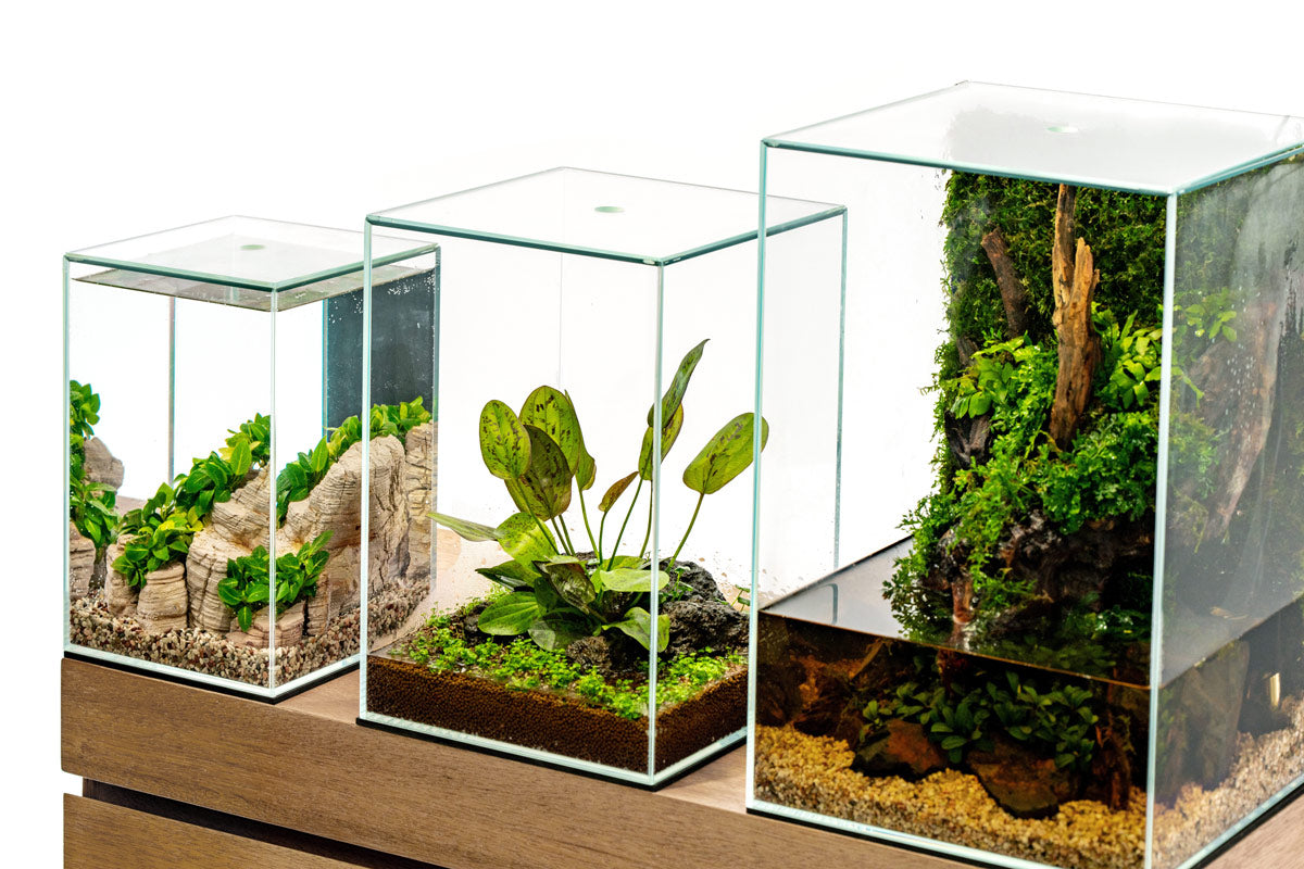 UNS Prism Glass Aquarium Tank with Flush Lid - Perfect for Home, Office & Nano Fish Breeding