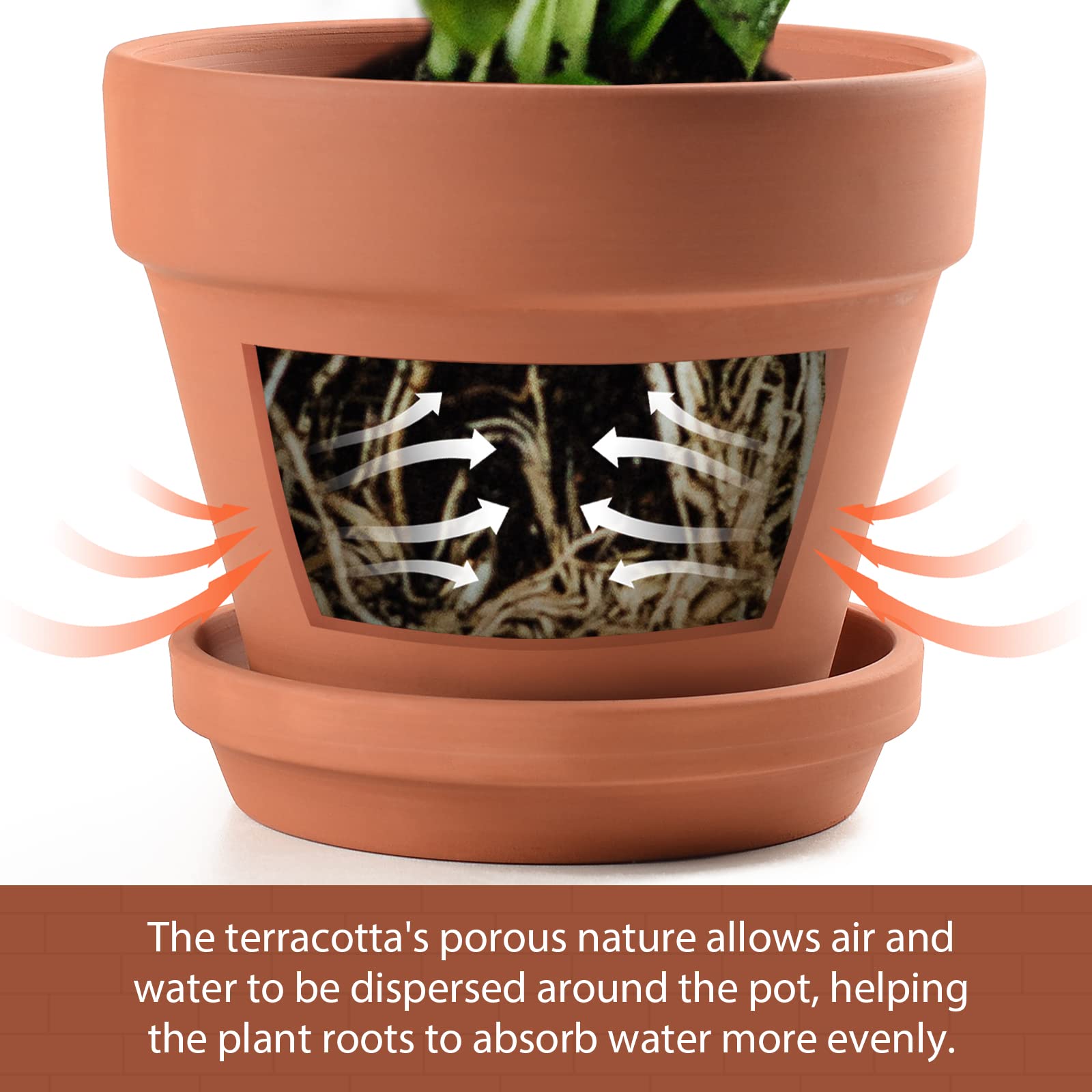 INGOFIN 2-Pack Terracotta Clay Planters with Saucers - 8 Inch Ceramic Flower Pots with Drainage Hole for Indoor Outdoor Plants, Succulents, Herbs, Cacti | Perfect for Home Garden, Balcony Decor, Office Desk & Gift Giving