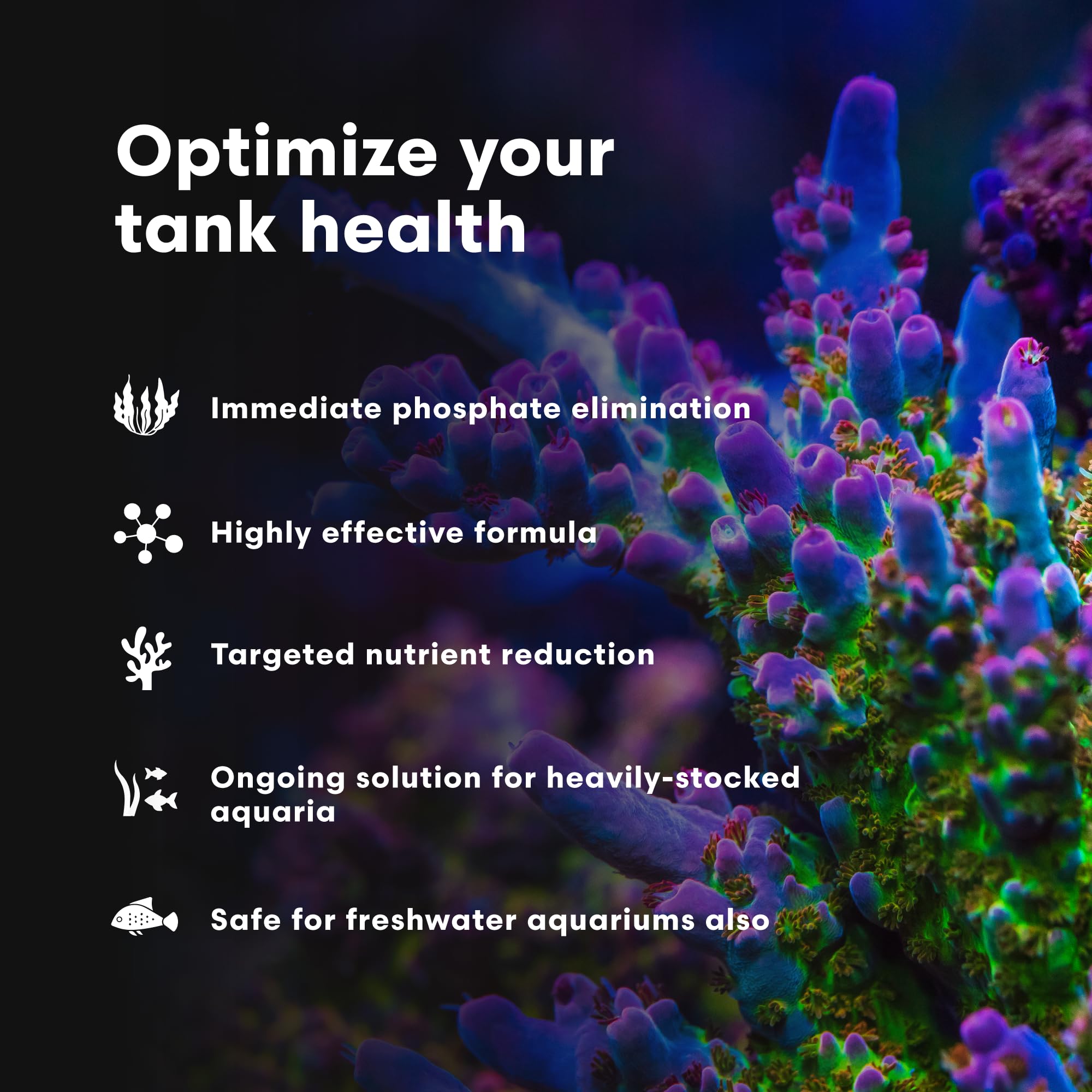 Brightwell Aquatics Phosphat-E Liquid Phosphate Remover for Saltwater Aquariums - Marine Fish & Reef Tank Water Treatment (135.25 fl oz) | Controls Algae & Improves Water Clarity for Healthy Coral Growth