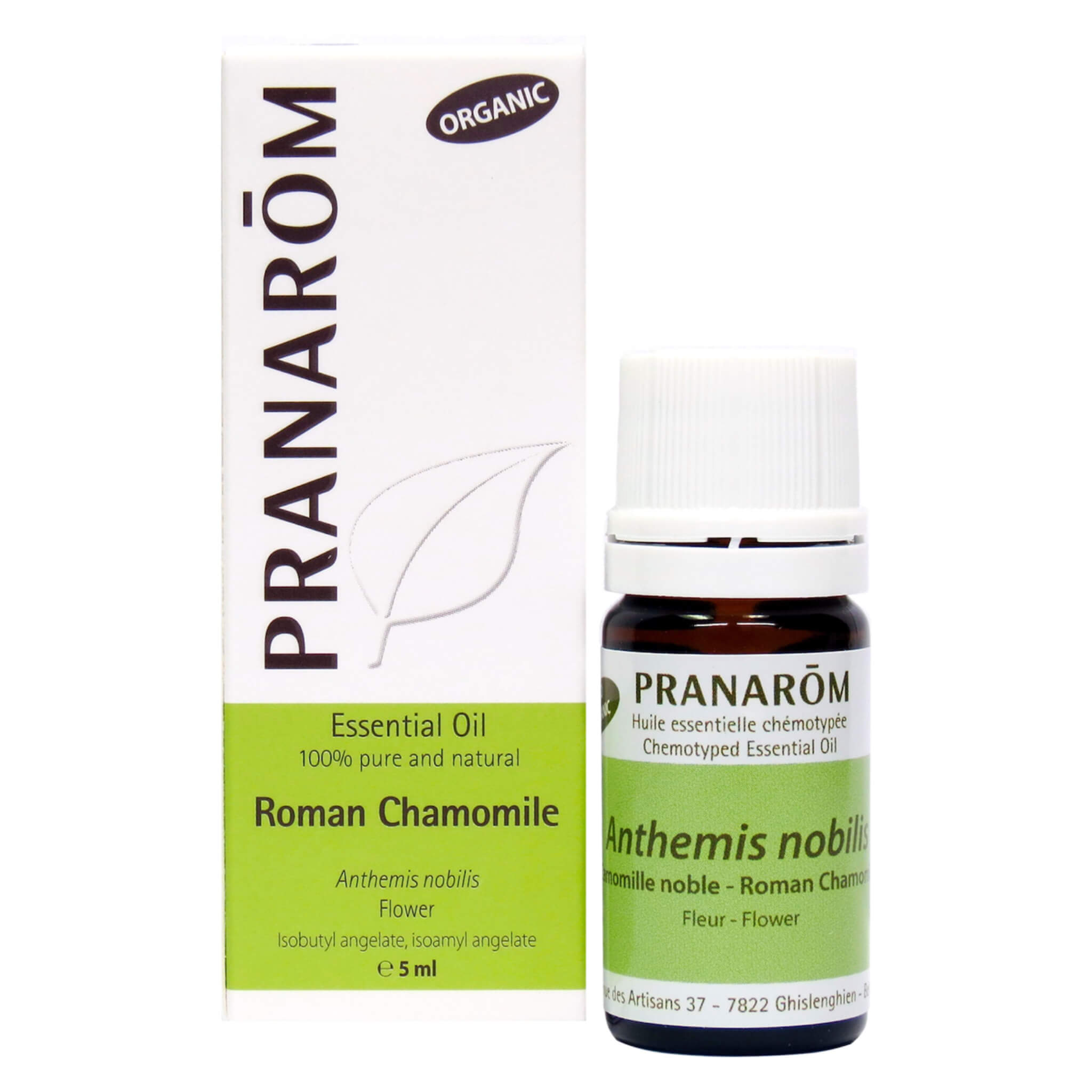 Roman Chamomile Essential Oil 100% Pure - Natural Aromatherapy Oil for Relaxation, Sleep & Stress Relief - Perfect for Diffusers, Massage & Skincare