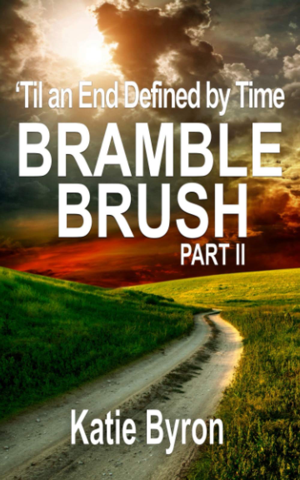 Bramble Brush - Natural Wooden Hairbrush for Home & Travel