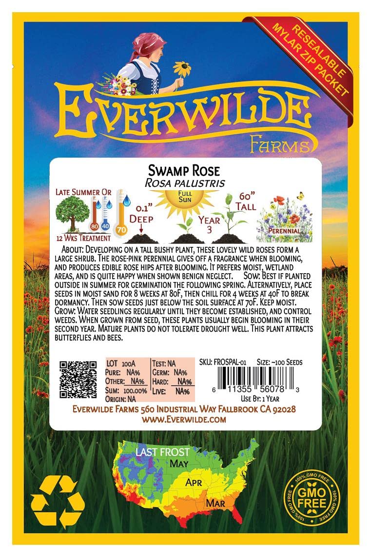 Everwilde Farms - 100 Swamp Rose Native Wildflower Seeds - Gold Vault Jumbo Seed Packet for Garden, Landscaping & Pollinator-Friendly Planting