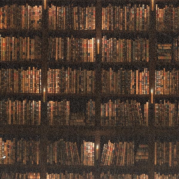 15 Bookshelf