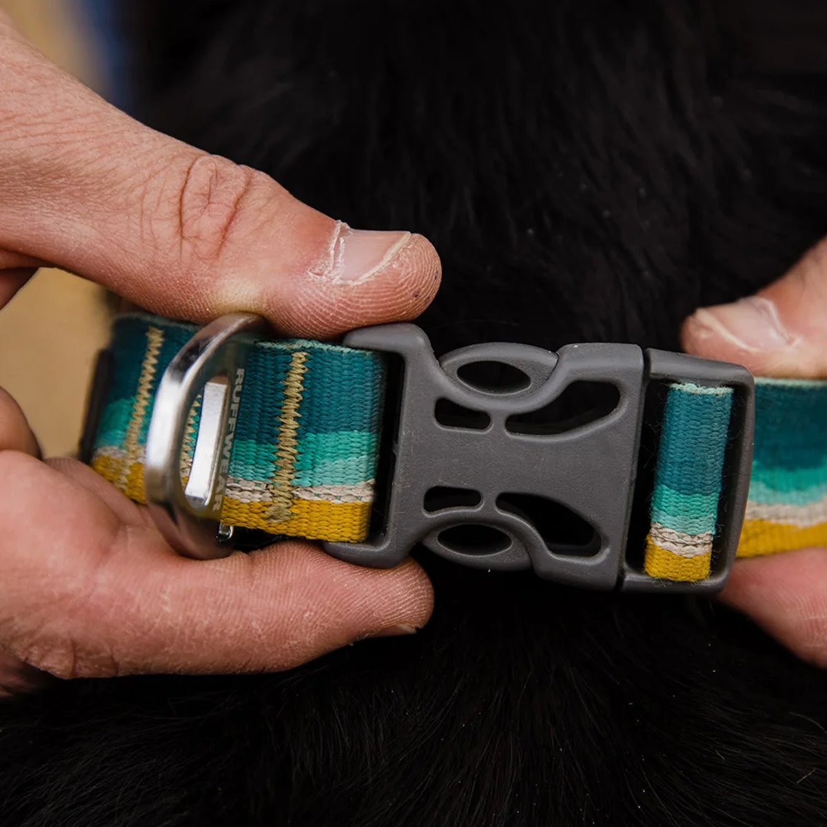 Reflective Dog Collar with LED Light - High Visibility Safety Collar for Night Walking, Running, and Outdoor Adventures - Adjustable Nylon Pet Collar for Small Medium Large Dogs