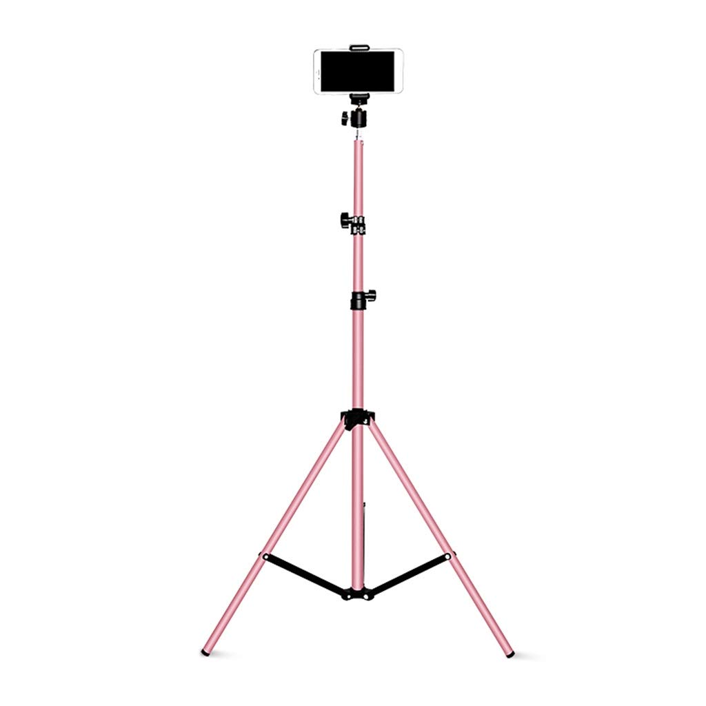 **Professional Extendable 82.7