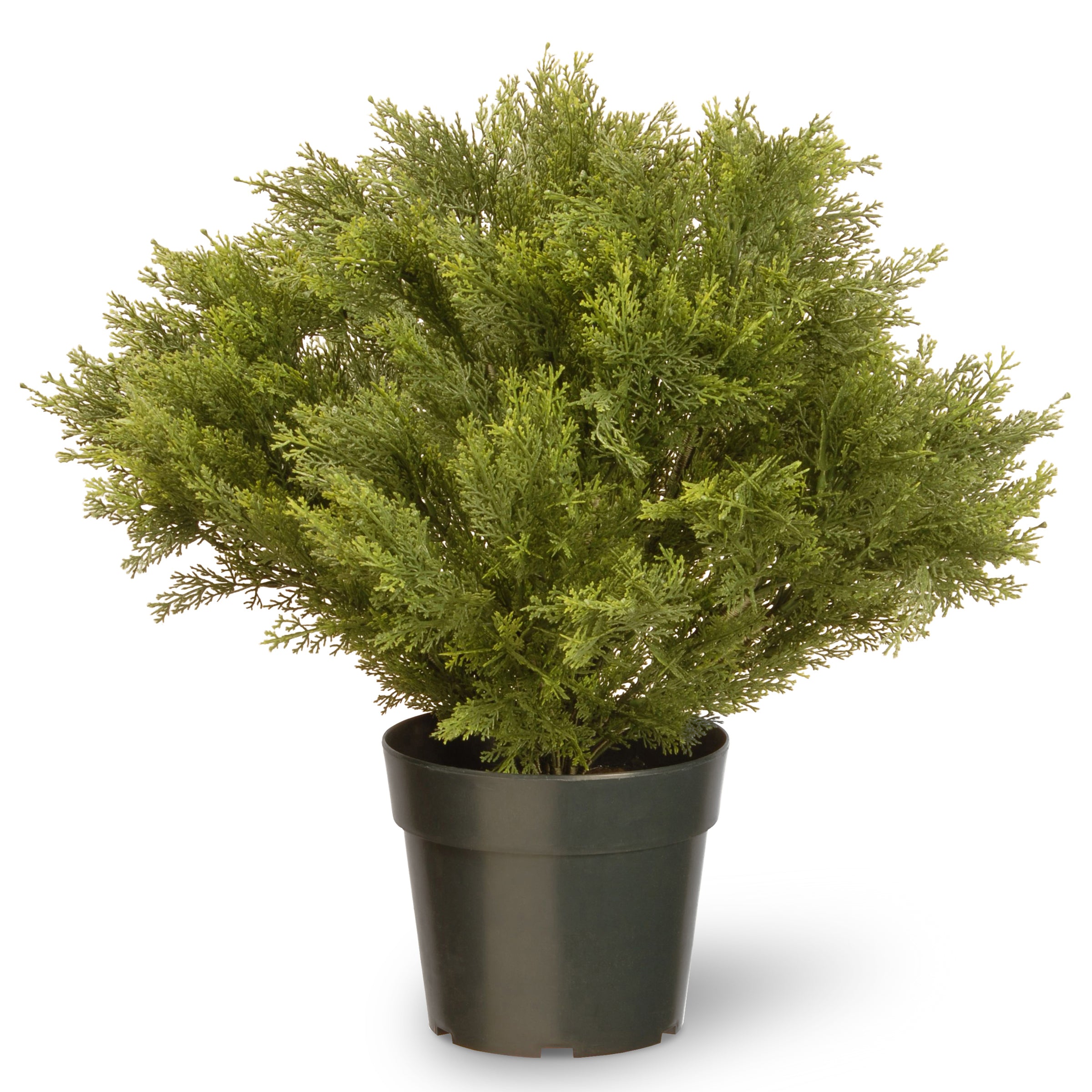 28 Inch Juniper Globe Topiary in Green Pot - Perfect for Indoor Decor, Outdoor Landscaping, and Home Garden Centerpieces