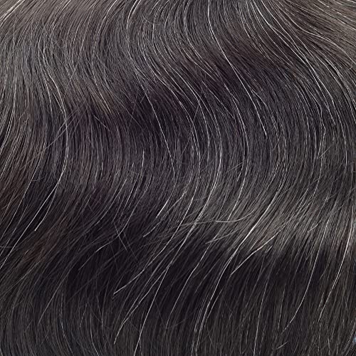 1B05# Off Black with 5% gray hair