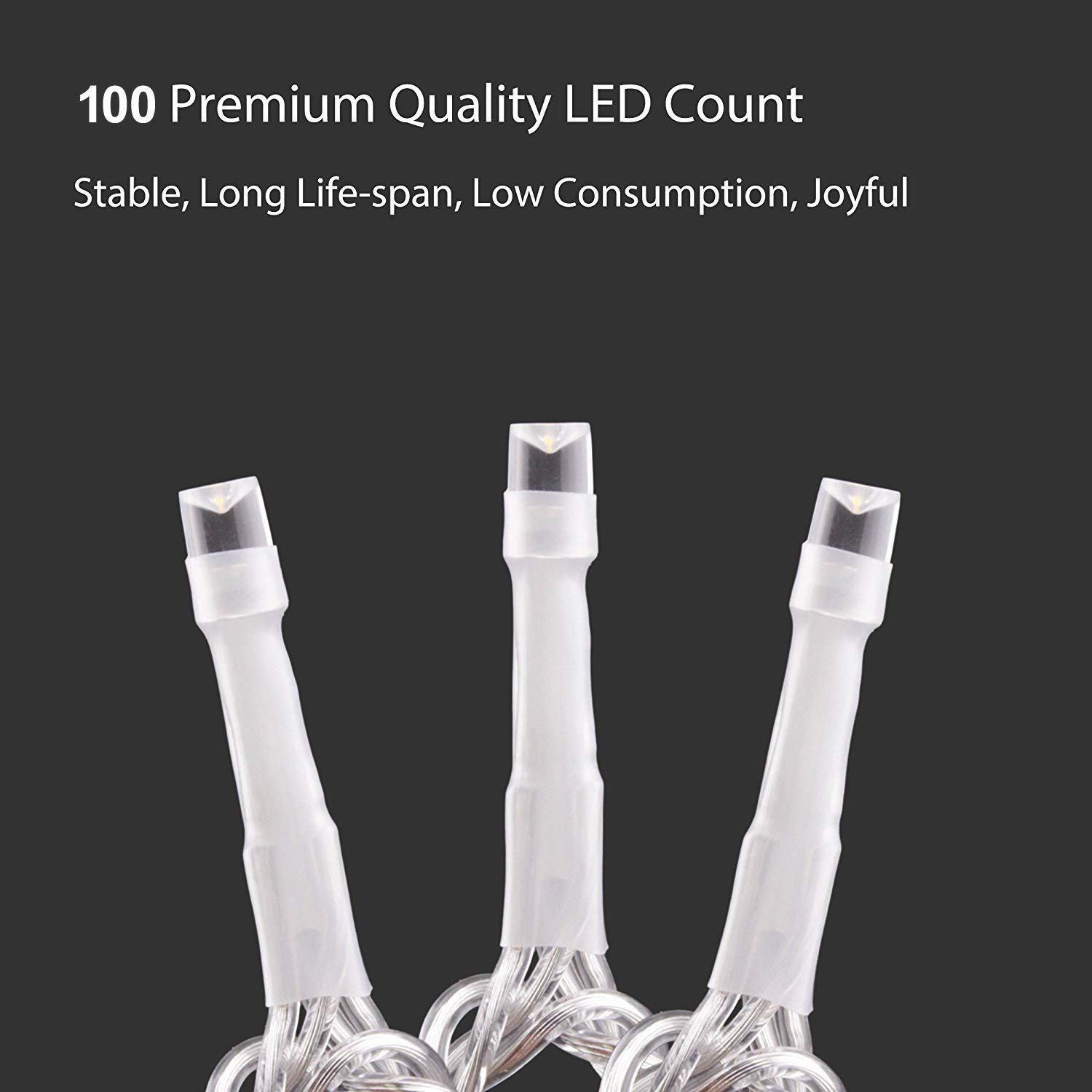EShing 100 LED String Lights Dimmable, 33ft USB Powered Fairy Lights with Remote & Timer - Warm White Twinkle Lights for Indoor Outdoor Wedding, Party, Patio, Backyard, Room Decor - Perfect for Holiday, Christmas, Garden & Home Ambiance Lighting