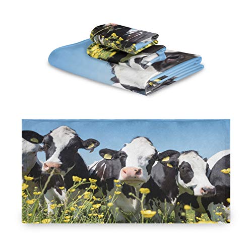 Black White Cows