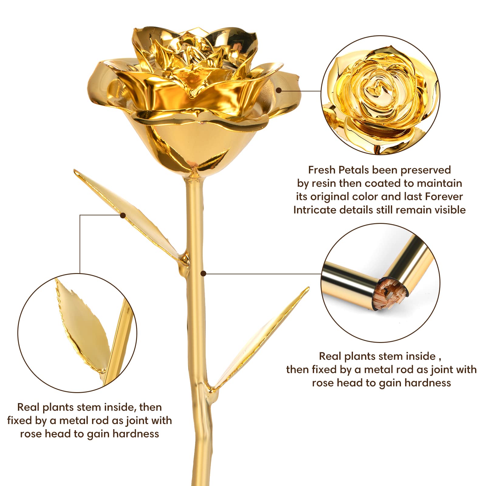 24K Gold Dipped Real Rose - Genuine Handcrafted Golden Rose Gift for Women, Anniversary, Birthday, Mother's Day | Romantic Keepsake for Special Occasions & Home Decor