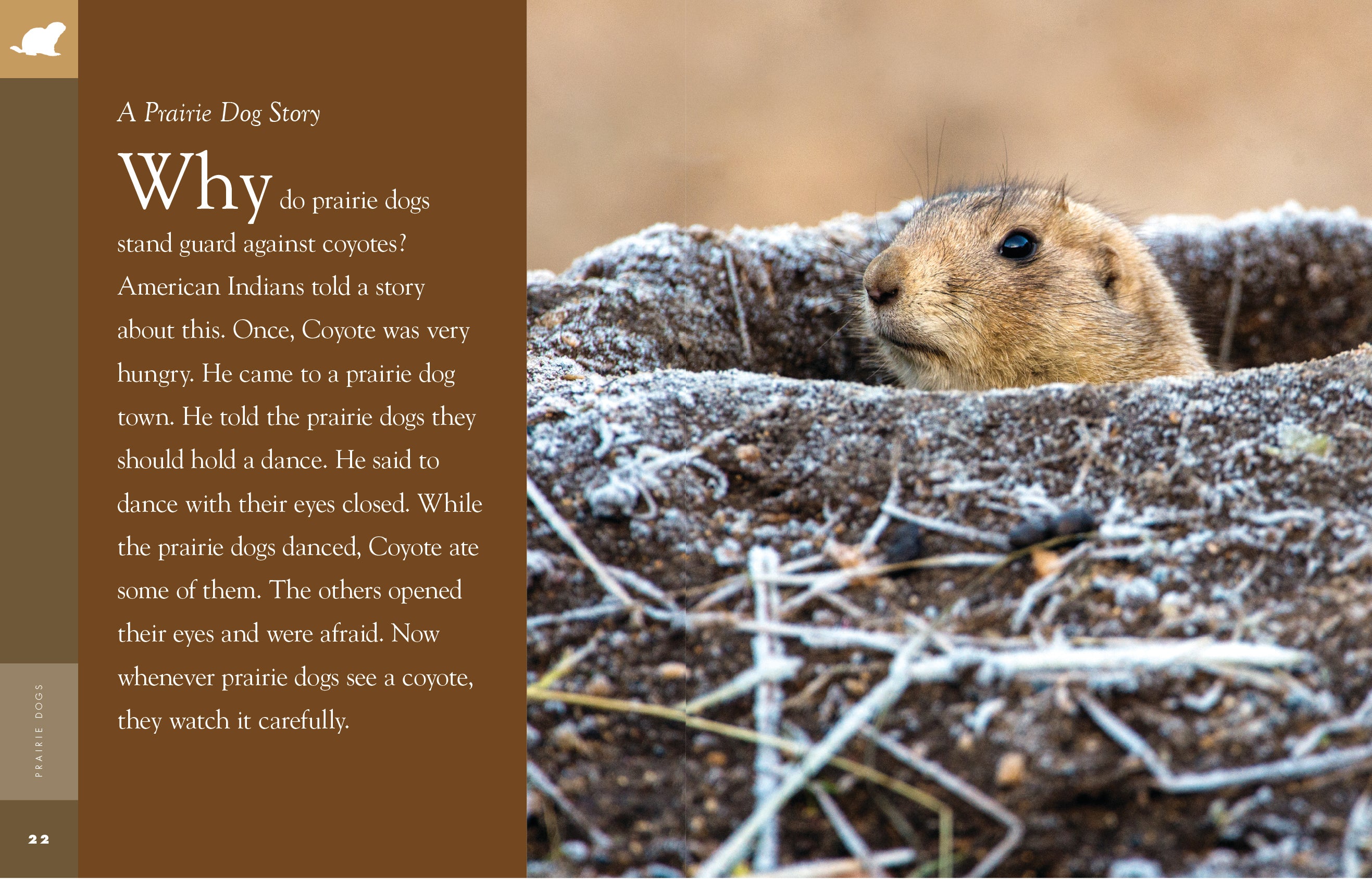 Amazing Animals (2014) - Prairie Dogs Documentary | Wildlife Nature Film | Educational Animal Videos for Kids & Adults | Perfect for Classroom Learning & Family Movie Nights