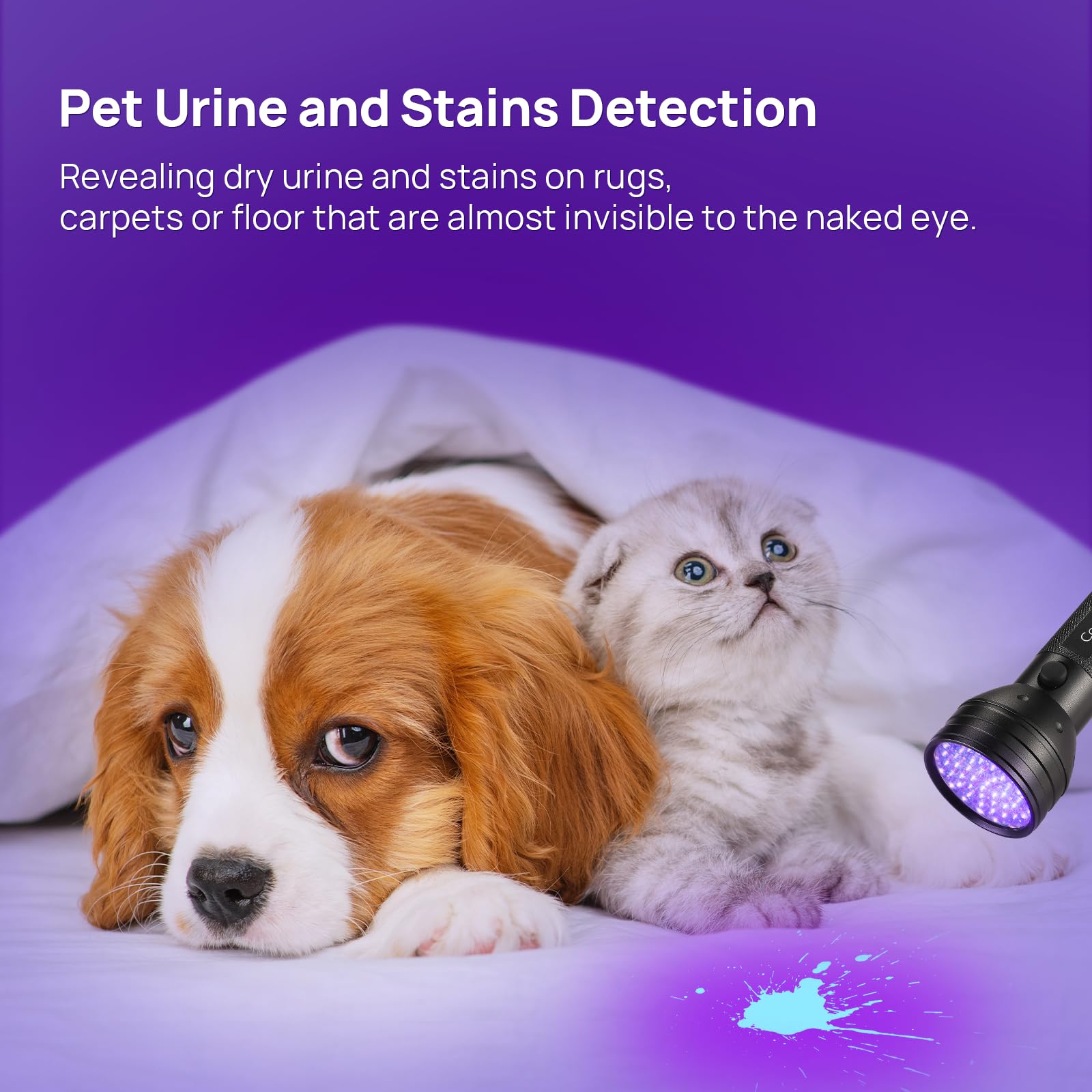 51 LED UV Flashlight Black Light 395nm - Portable Ultraviolet Torch for Detecting Pet Urine, Bed Bugs & Dry Stains | Essential for Pet Owners, Home Inspection & Resin Curing Projects | Works with Odor Eliminators