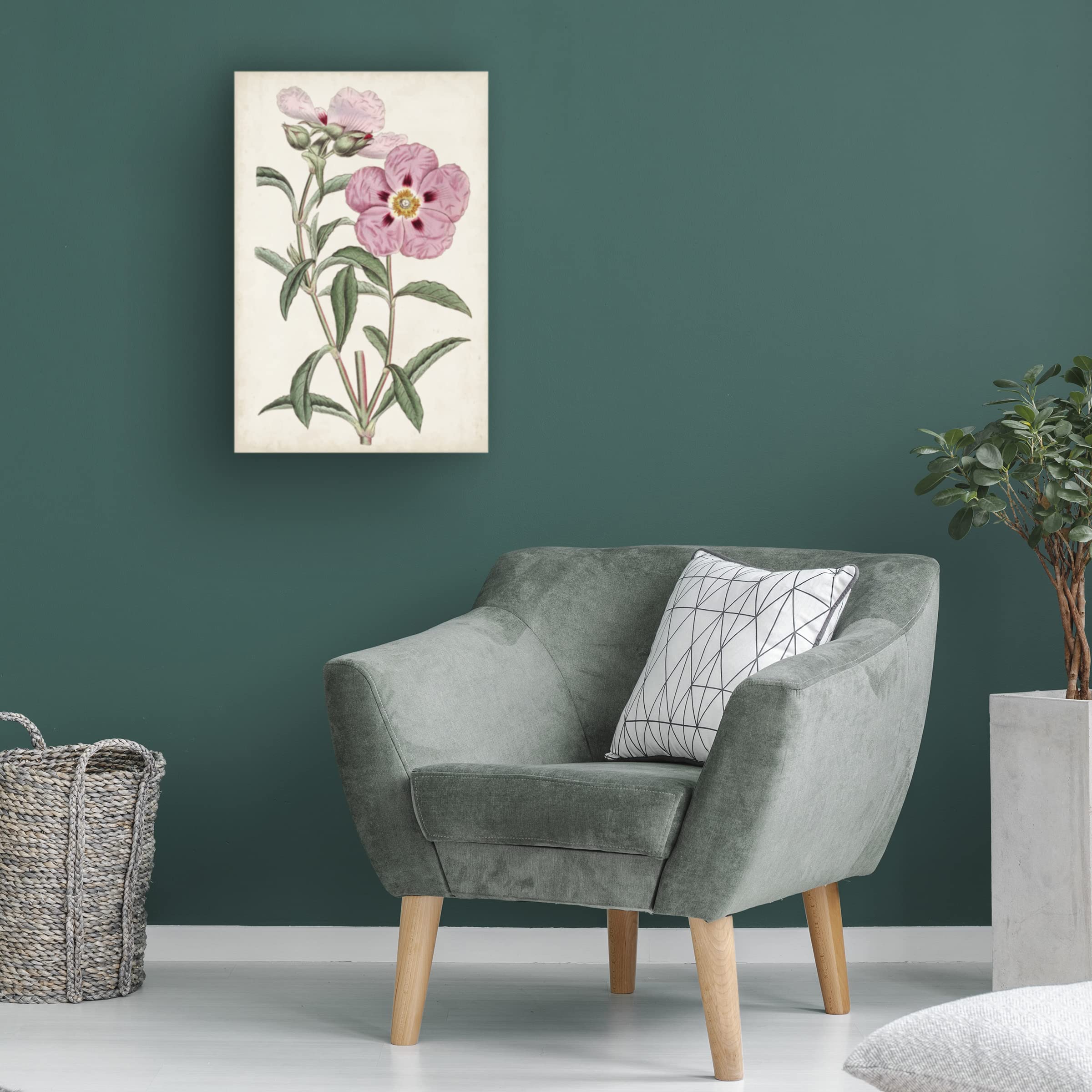 Trademark Fine Art 'Garden Gems VII' Canvas Wall Art Print by Curtis - Perfect for Living Room, Bedroom & Office Decor