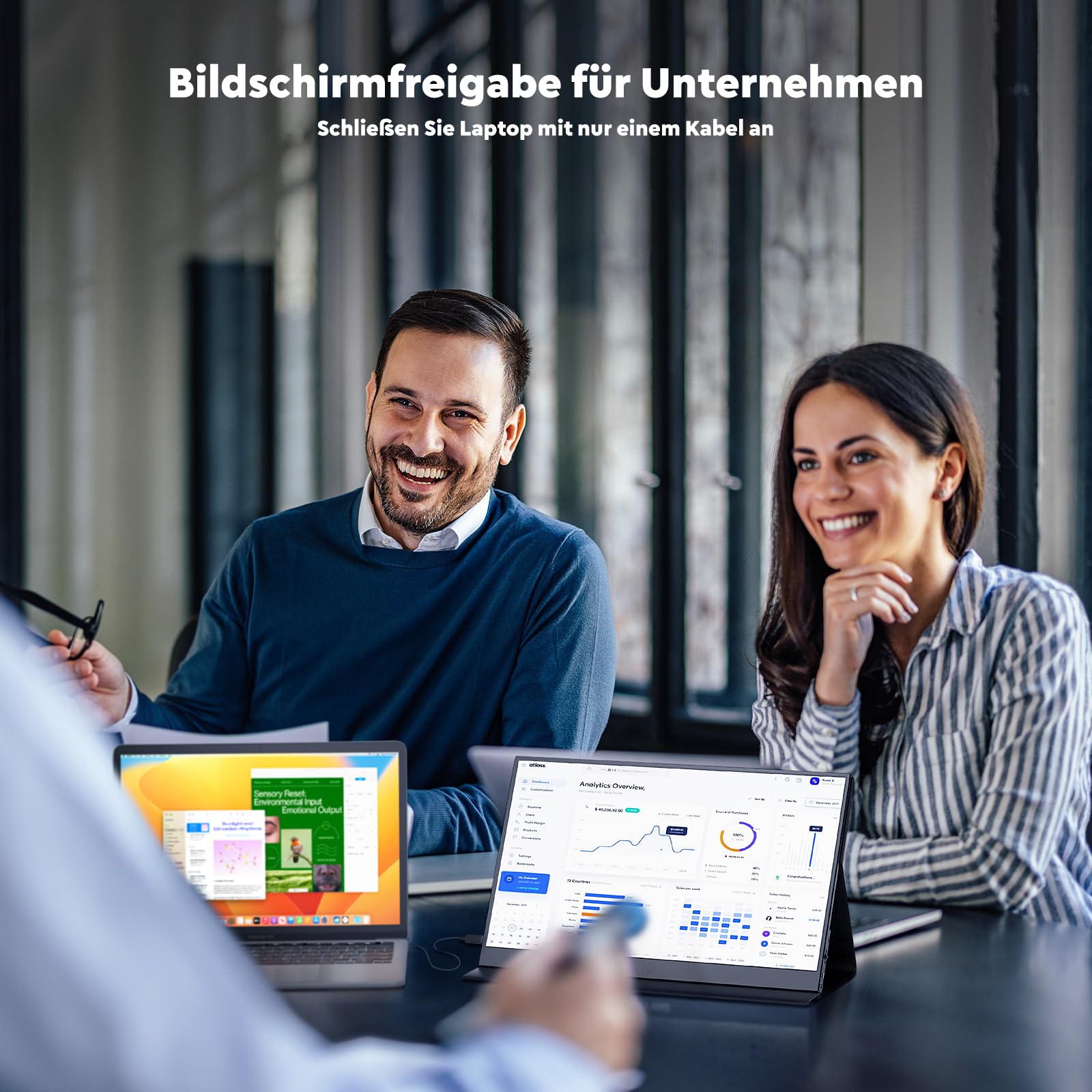 Portable Monitor 15.6