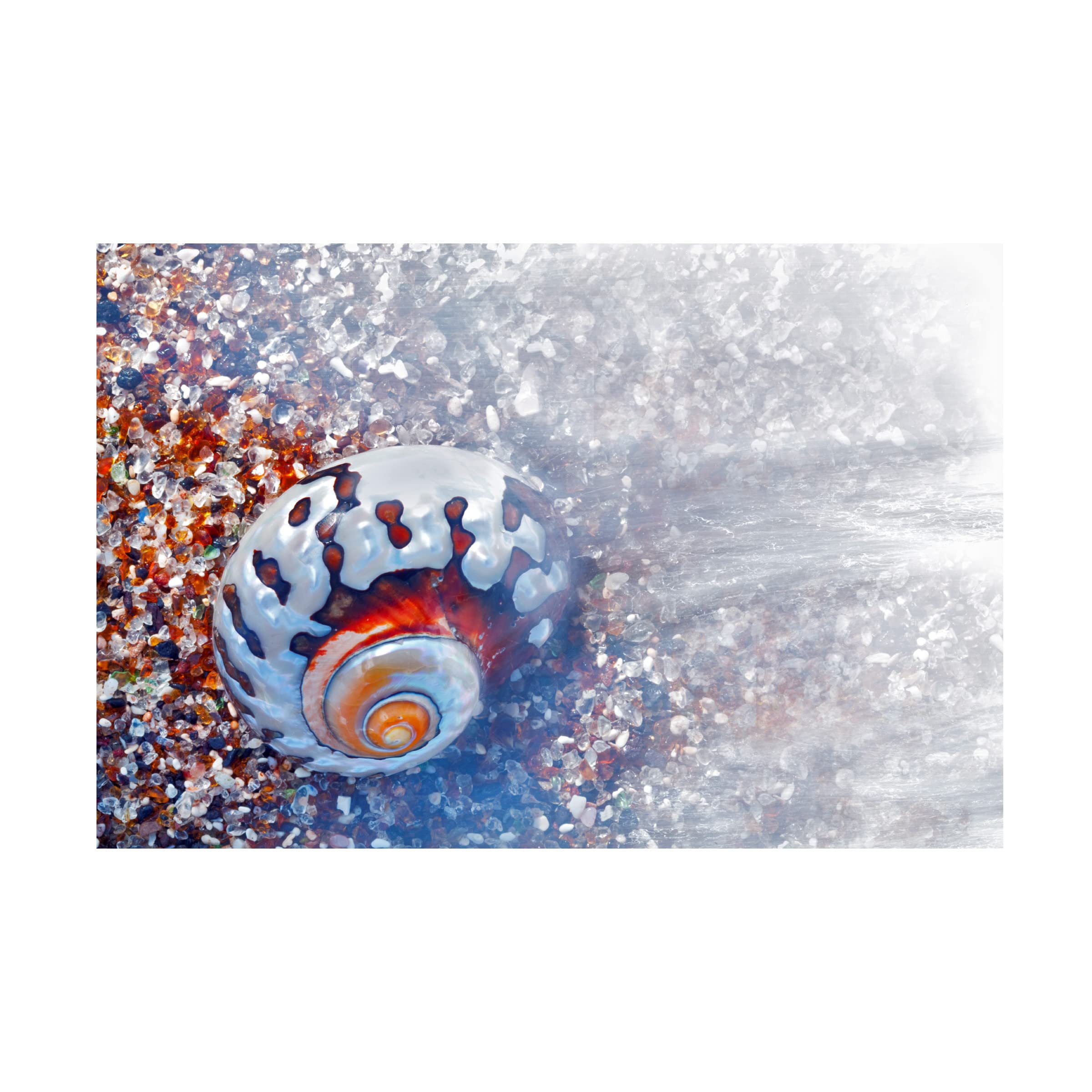 Dennis Frates Beach Treasures 3 Canvas Wall Art Print - Coastal Decor for Living Room, Bedroom & Office - Seascape Painting for Beach House & Nautical Theme Interiors