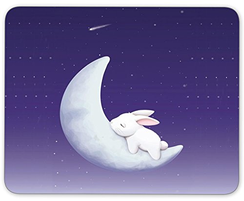 The rabbit sleeps on the moon