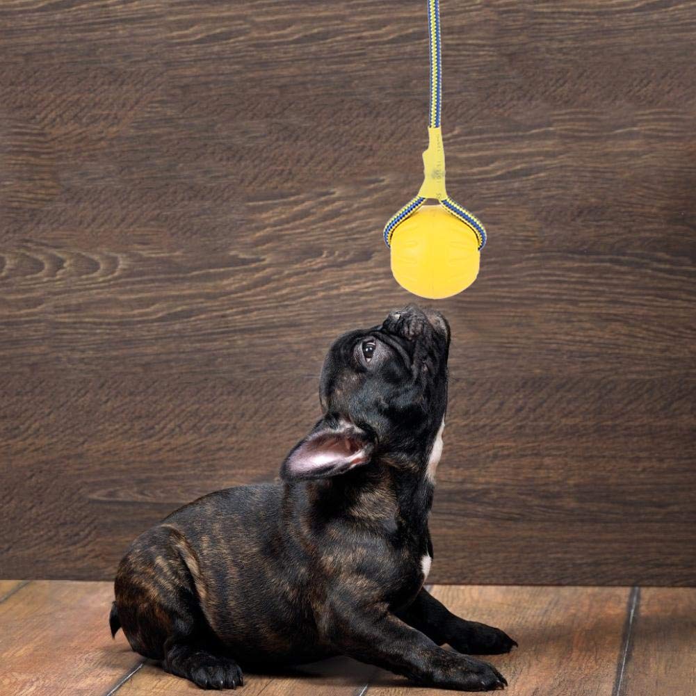 AMONIDA 6cm Durable Dog Ball Toy - Chew Resistant Red & Yellow Interactive Pet Toy for Fetch, Training & Playtime (Yellow) - Perfect for Indoor/Outdoor Fun, Puppy Teething & Bonding Activities