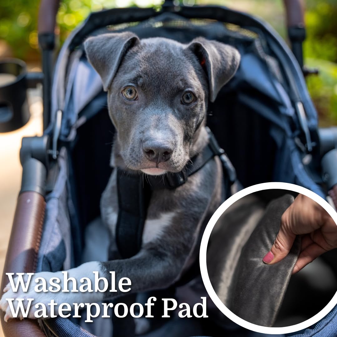 Premium Pet Stroller & Folding Shopping Cart with Lightweight Aluminum Frame - Removable Bassinet & Shopping Bag for Small to Medium Dogs & Cats (Blue) - Perfect for Park Walks, Shopping Trips & Vet Visits