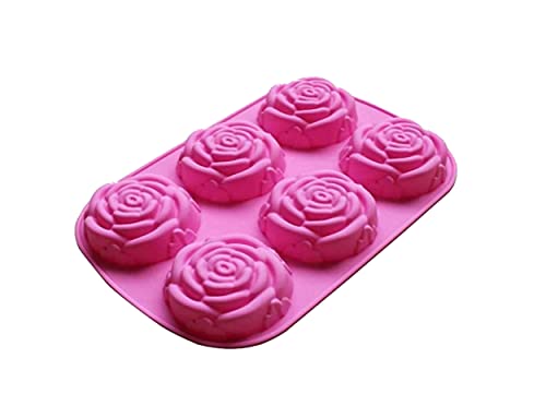 6 rose