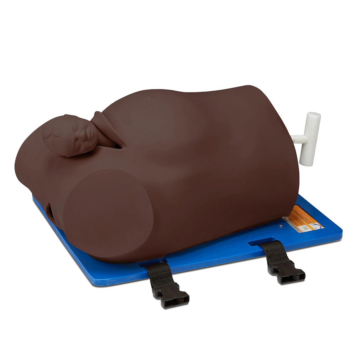 Debra Enhanced® Impacted Fetal Head Simulator - Realistic Birth Training Model for Obstetric Emergencies | Perfect for Medical Students, Midwives & OBGYN Practitioners