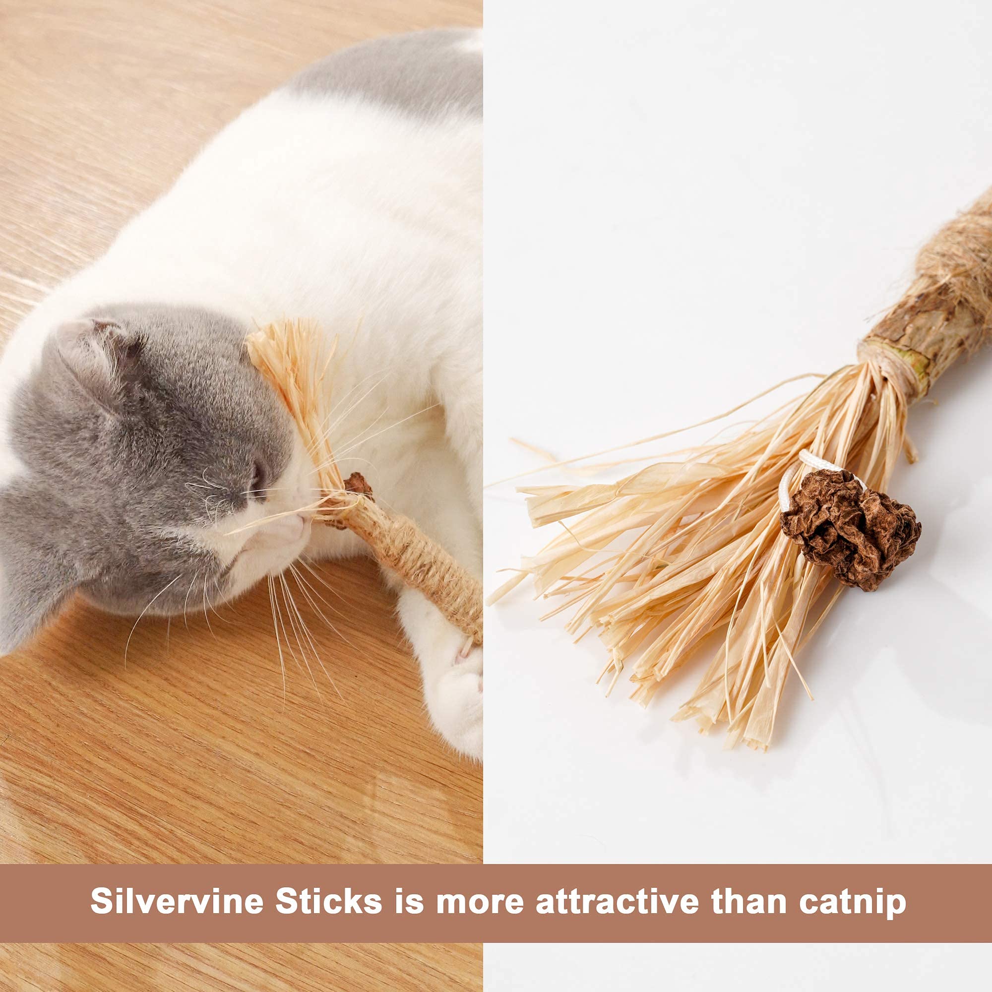 PAZ'S GIFT Natural Catnip & Silvervine Cat Toys - 2 Pack Raffia Chew Sticks for Teeth Cleaning, Interactive Kitten Teething Toy, Dental Care & Play for Indoor Cats - Perfect for Playtime & Stress Relief