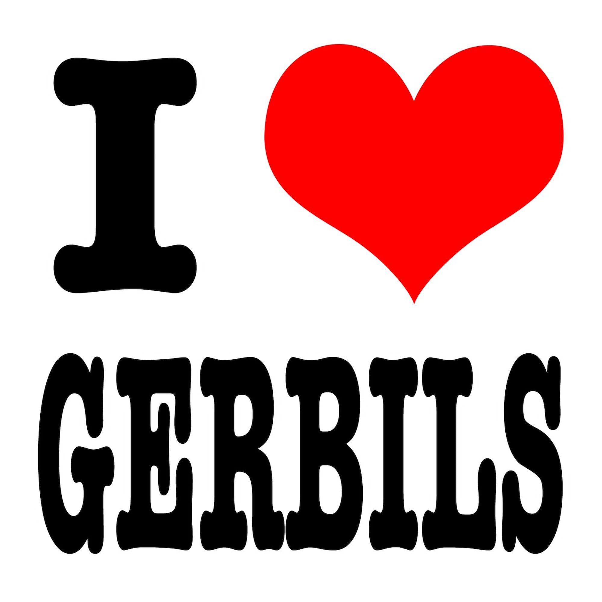 I Heart (Love) Gerbils Oval Sticker - Waterproof Vinyl Bumper Decal for Cars, Laptops & Windows - Fun Pet Lover Accessory for Gerbil Enthusiasts