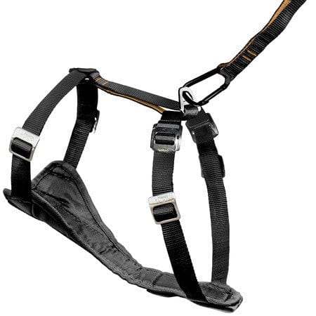 Kurgo Enhanced Strength Tru-Fit Extra Small Dog Car Harness - Safe & Comfortable Pet Travel Harness for Small Dogs - Perfect for Road Trips, Vet Visits & Outdoor Adventures