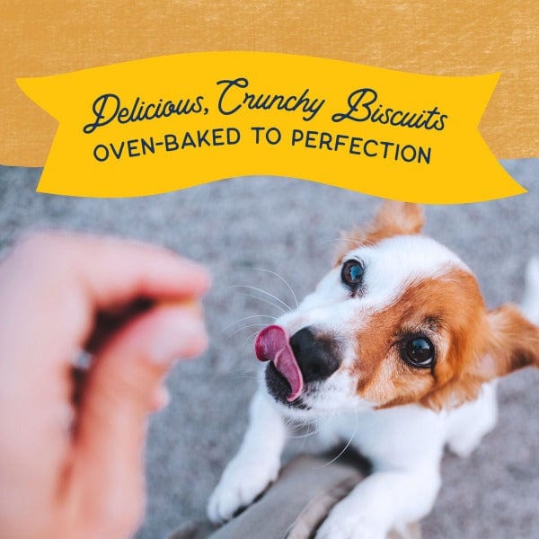Natural Balance Crunchy Dog Biscuits with Real Duck – Small Breed Recipe, 8oz – Healthy Treats for Training & Dental Care