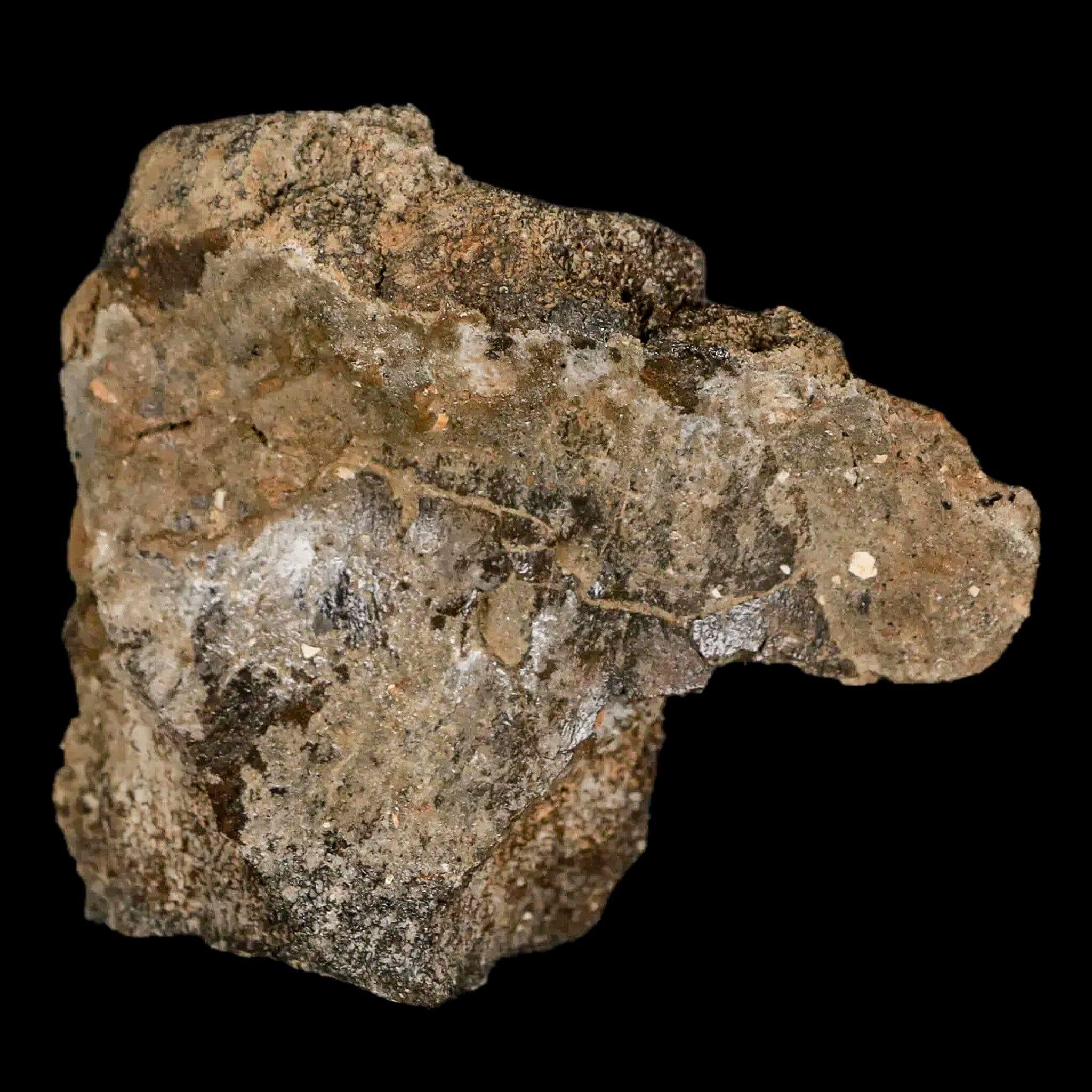 2.6