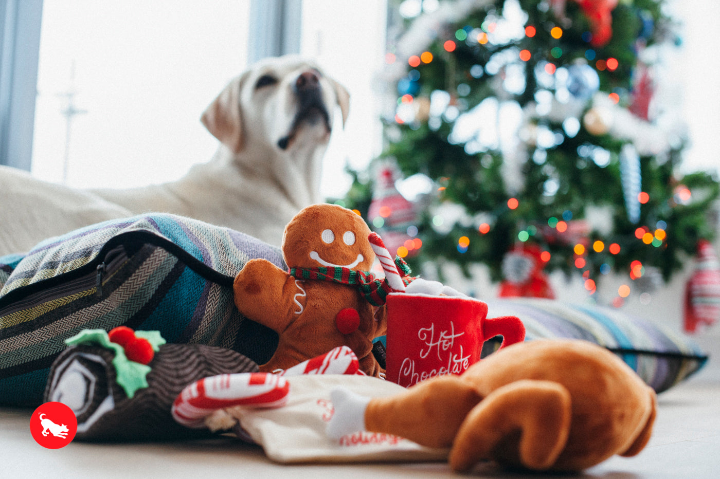 P.L.A.Y. Holiday Classic Dog Toy - Cheerful Candy Canes for Small & Medium Dogs - Perfect for Christmas Playtime & Gift Giving