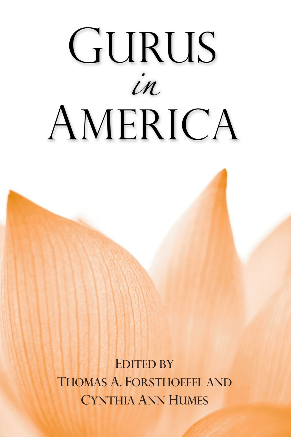 Gurus in America: Exploring Hindu Studies & Spiritual Teachers in the USA | Yoga, Meditation & Cultural Learning