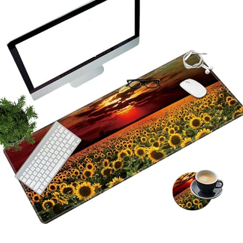 Sunflower Field Sunset