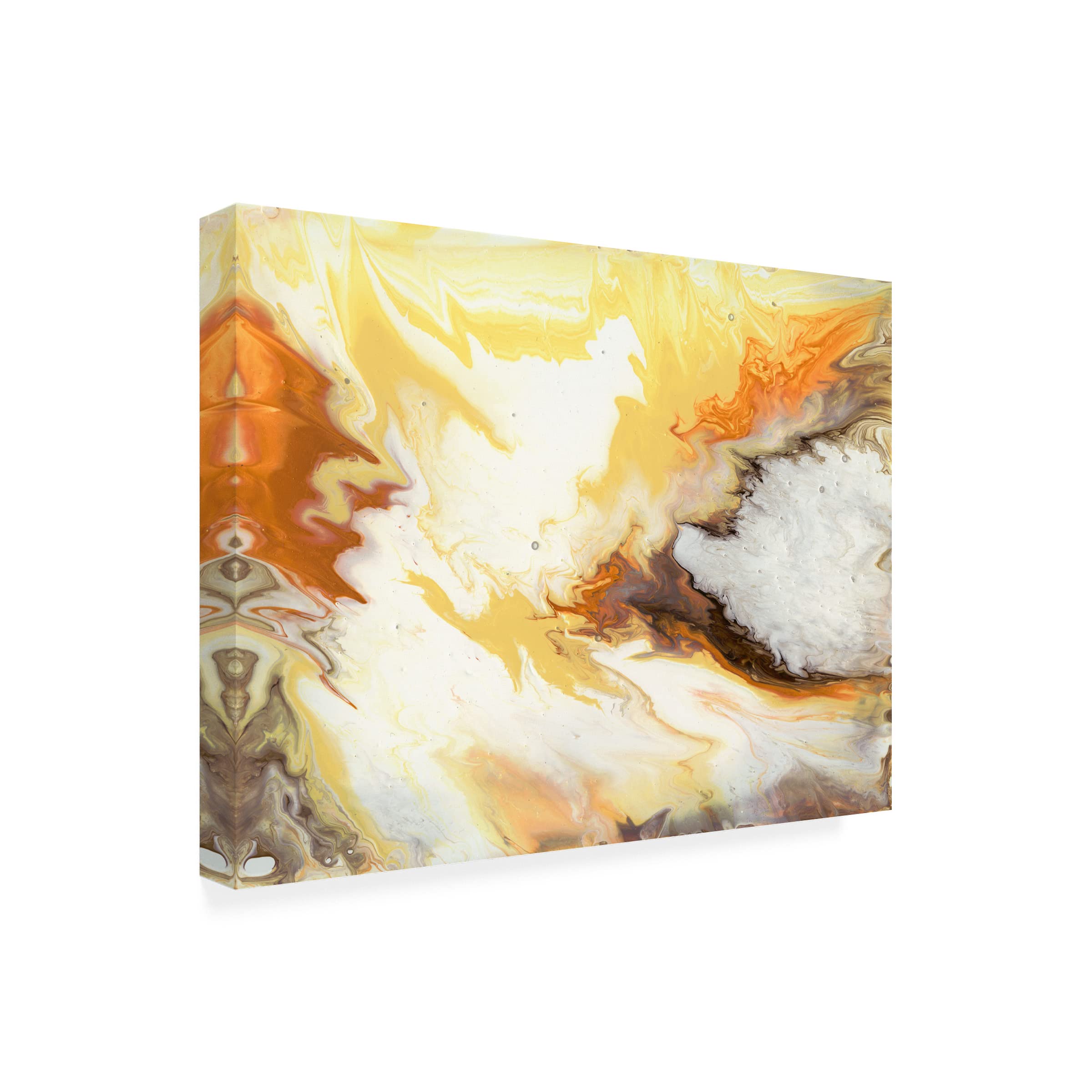 Trademark Fine Art 'Liquid Earth VI' Abstract Canvas Wall Art by Studio W - Perfect for Modern Living Room & Office Decor