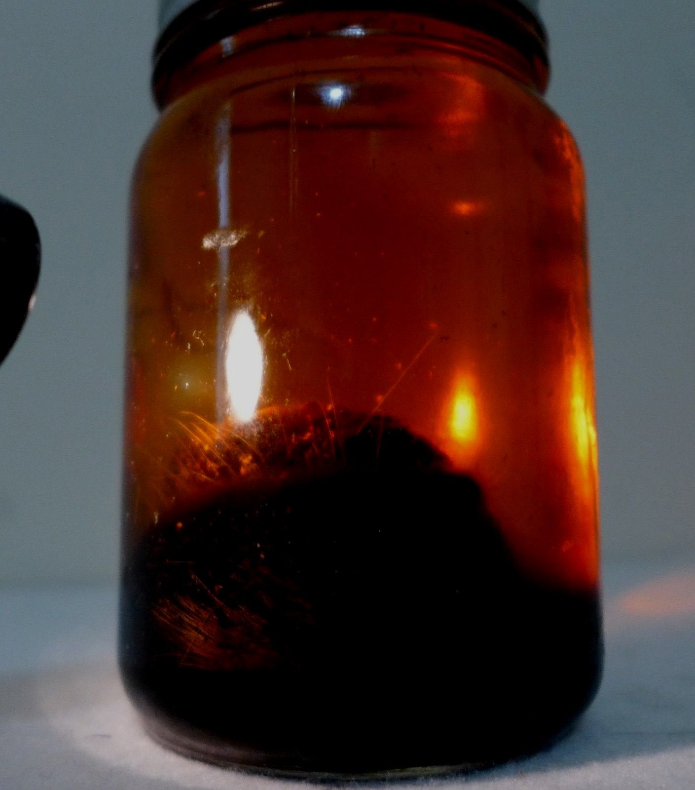 Pure Natural Black Deer Musk Nafa Kasturi Kijang Essential Oil - 6ml Strong Intense Aroma for Perfume Making, Aromatherapy & Spiritual Rituals