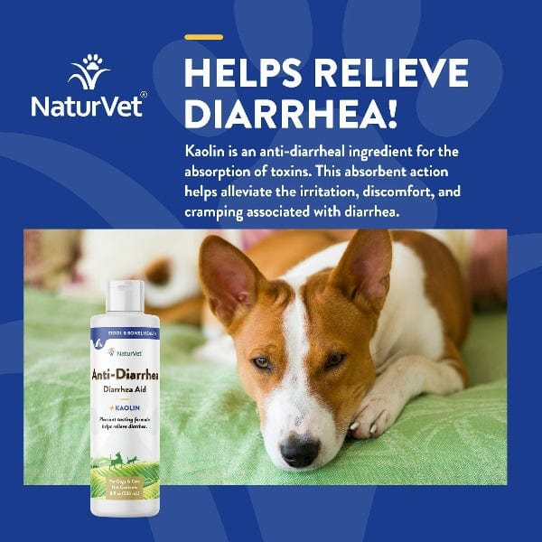 NaturVet Anti Diarrhea Liquid with Kaolin for Dogs & Cats - Fast-Acting Digestive Relief for Pets at Home or Travel