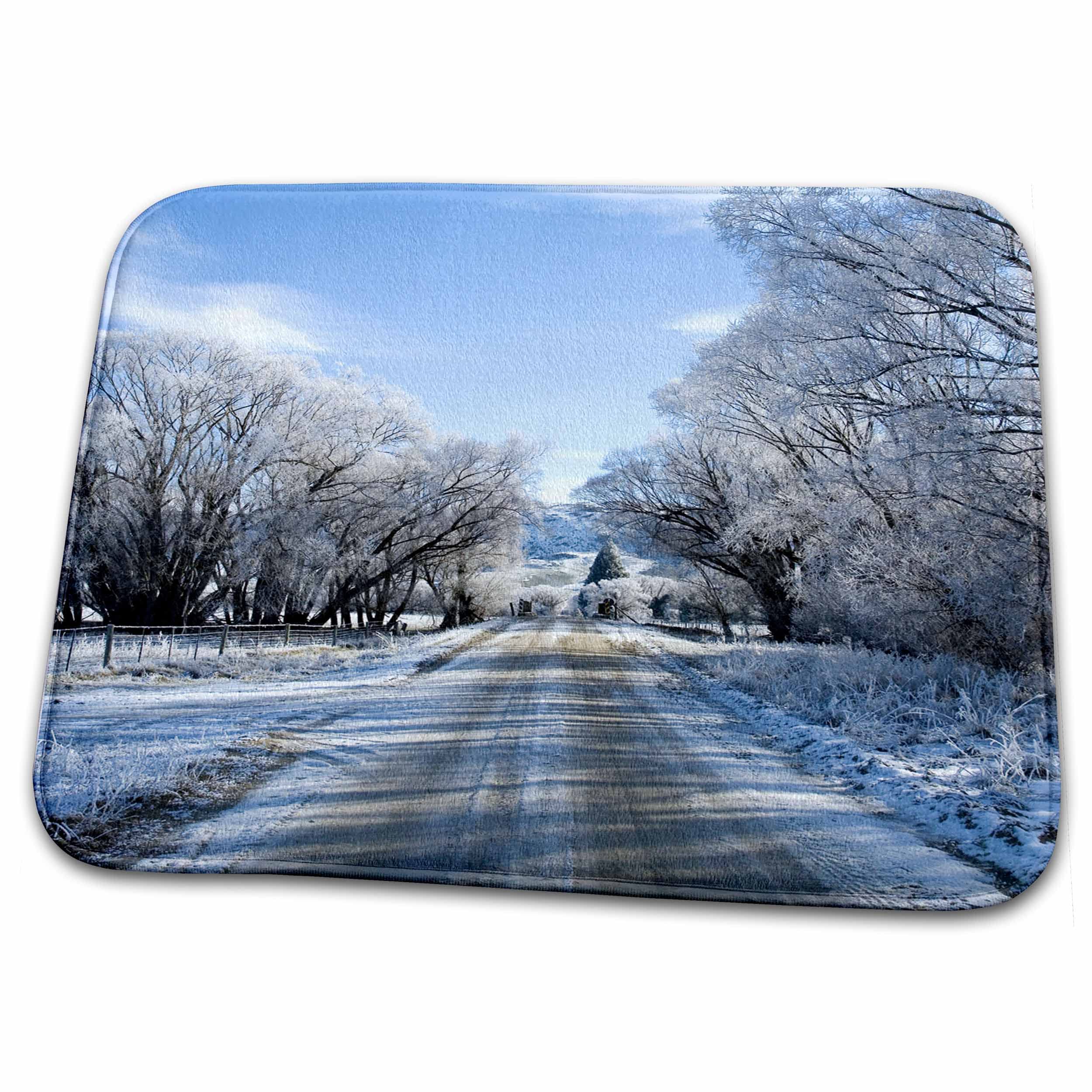 3D Rose Hoar Frost Oturehua Otago South Island New Zealand Bathroom Rug Mat - Non-Slip Absorbent Bath Mat for Shower, Tub, and Bathroom Floor (Rug-76345-1) - Perfect for Modern, Farmhouse, and Spa Bathroom Decor