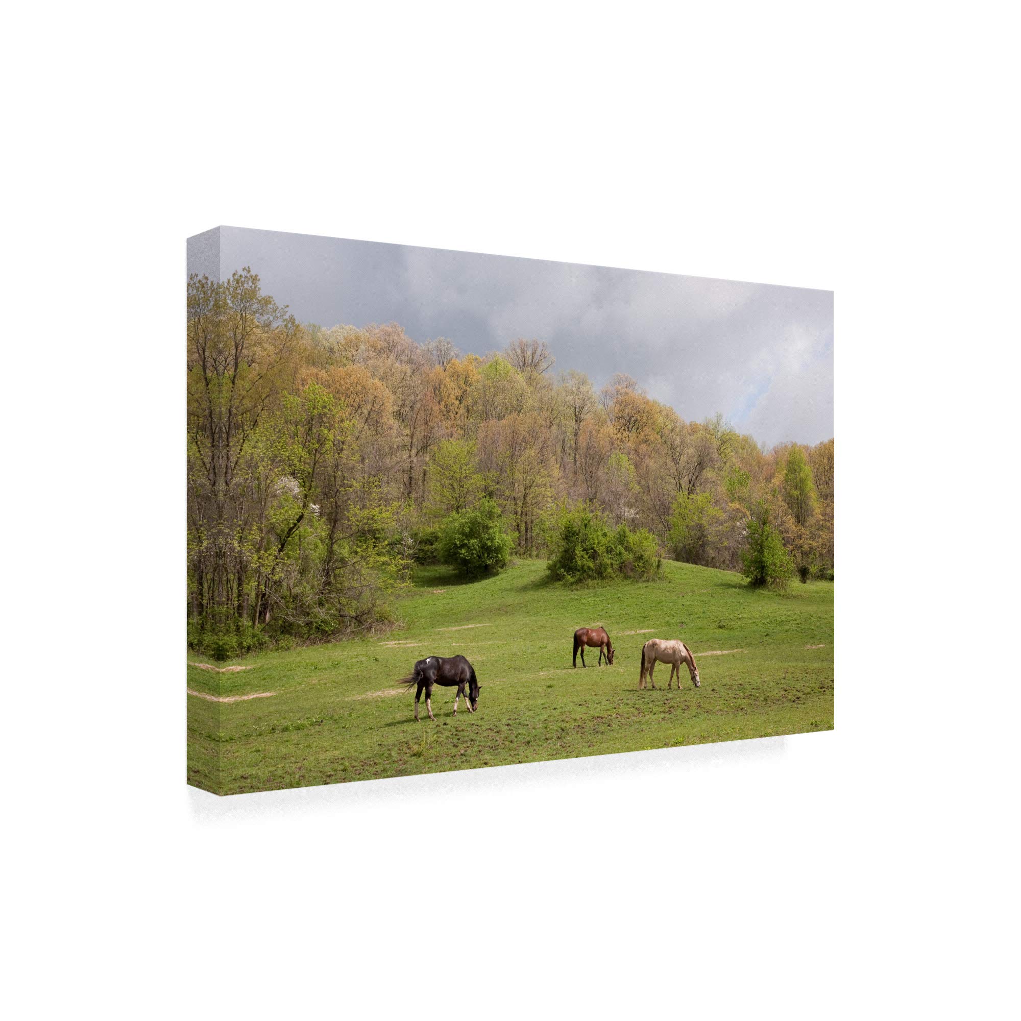 Monte Nagler Horses in The Field West Virginia Fine Art Print - 16x24 Wall Decor for Living Room, Bedroom & Office - Landscape Painting for Home & Office Decoration
