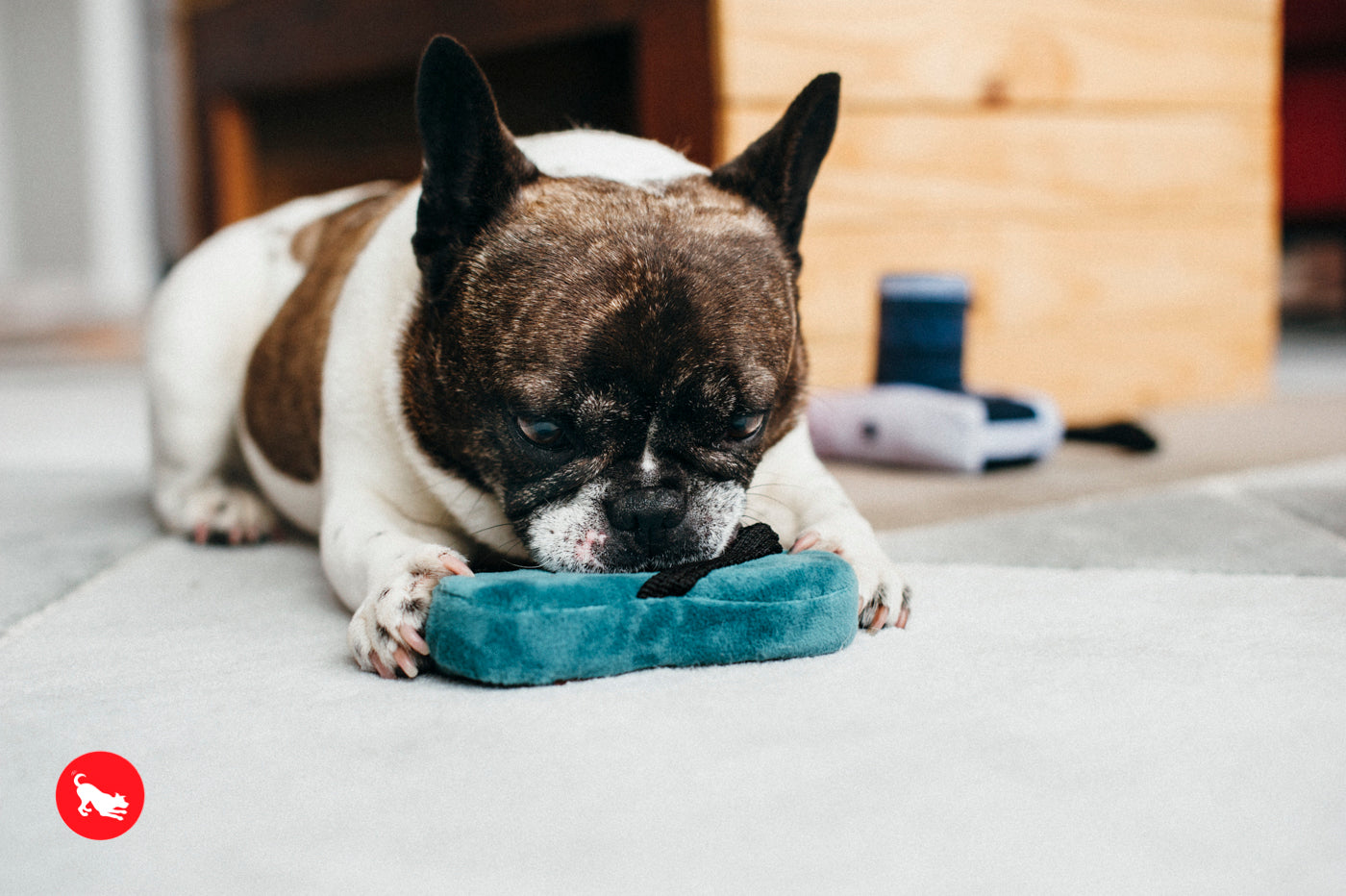 Globetrotter Dog Plush Toy - Soft & Durable Pet Slipper Chew Toy for Small & Large Dogs | Perfect for Playtime, Training & Comfort at Home | Pet P.L.A.Y.