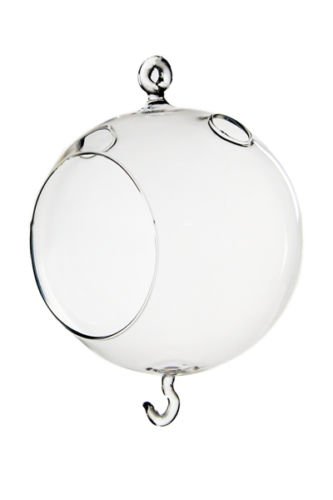 5.5 Inch Glass Plant Orb Terrarium with Double Hook - Hanging Glass Globe for Air Plants, Succulents, and Home Decor - Perfect for Indoor Gardens, Wedding Centerpieces, and Office Decorations