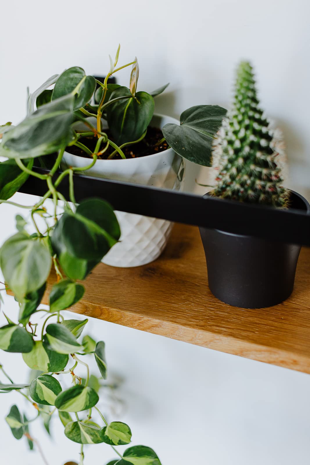 Handmade Floating Wood Shelf - Solid Oak & Metal Wall Mounted Shelf | ETHIMO Bold | Perfect for Living Room, Bedroom & Office Decor